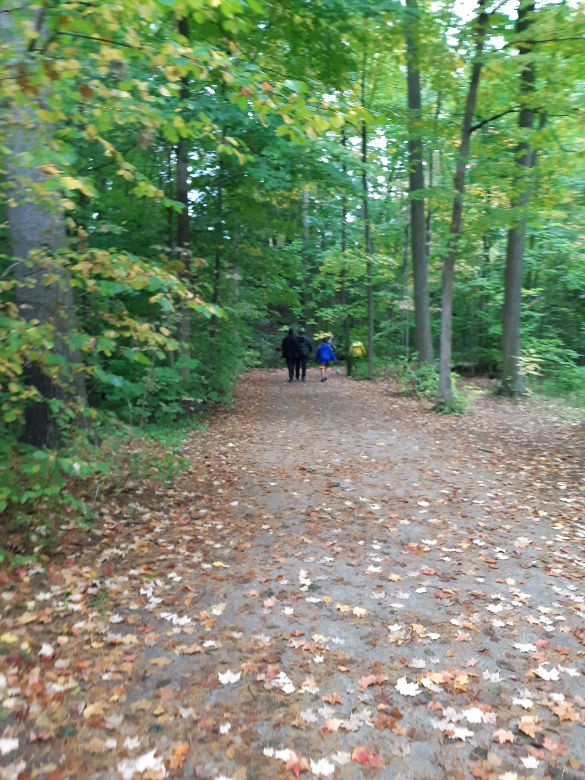 Our Liz is walking 5k this Sunday, October 4th in support of Team HIPEC  at the Princess Margaret Cancer Centre